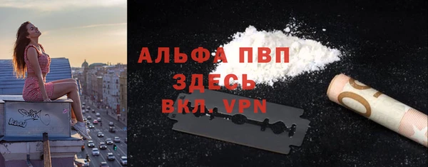 прущие грибы Абинск