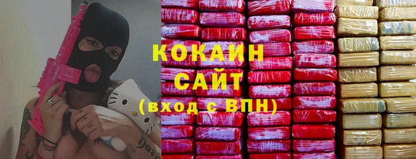 прущие грибы Абинск