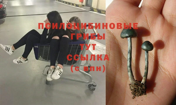 MDMA Абдулино
