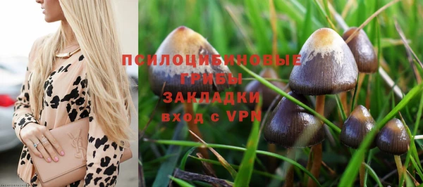 гидропоника Липки