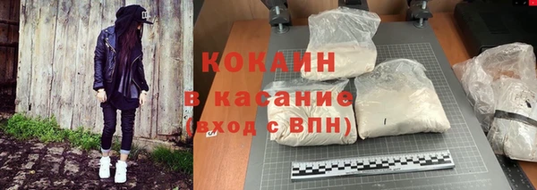прущие грибы Абинск