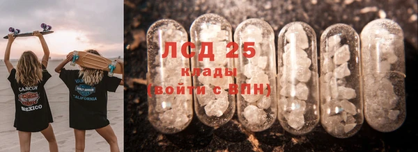 прущие грибы Абинск