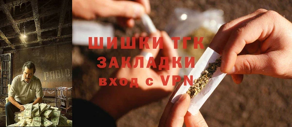 прущие грибы Абинск