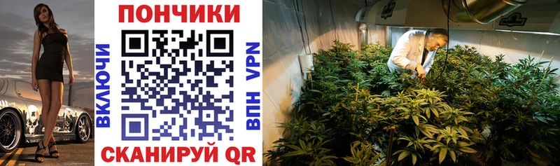 Каннабис план  Прокопьевск 
